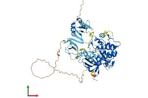 AlphaFold protein structure predicition of Mouse Recombinant Prkcz Protein, UniprotID Q02956