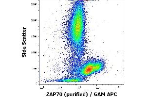 Flow cytometry intracellular staining pattern of human peripheral whole blood using anti-ZAP70 (ZAP-03) purified antibody (concentration in sample 9 μg/mL, GAM APC).