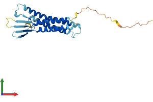 AlphaFold protein structure predicition of Mouse Recombinant Cldn9 Protein, UniprotID Q9Z0S7