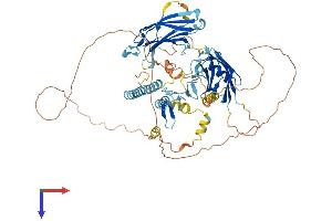 AlphaFold protein structure predicition of Mouse Recombinant Sytl4 Protein, UniprotID Q9R0Q1