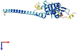 AlphaFold protein structure predicition of Mouse Recombinant Snf8 Protein, UniprotID Q9CZ28