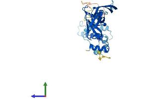 AlphaFold protein structure predicition of Human Recombinant DNAJB13 Protein, UniprotID P59910