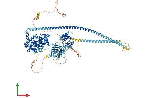 AlphaFold protein structure predicition of Mouse Recombinant Rabgap1 Protein, UniprotID A2AWA9