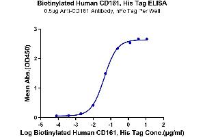Immobilized Anti-CD161 Antibody, hFc Tag at 5 μg/mL (100 μL/well) on the plate.