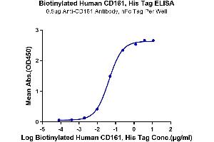 Immobilized Anti-CD161 Antibody, hFc Tag at 5 μg/mL (100 μL/well) on the plate. (CD161 Protein (AA 67-225) (His-Avi Tag,Biotin))