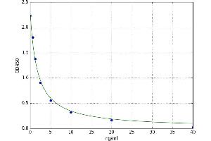 Autocrine Motility Factor Receptor (AMFR) ELISA Kit