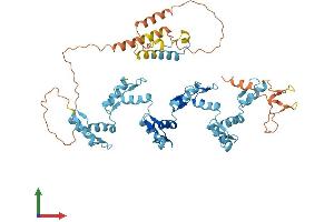 AlphaFold protein structure predicition of Human Recombinant ZNF155 Protein, UniprotID Q12901