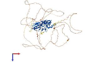 AlphaFold protein structure predicition of Human Recombinant TBR1 Protein, UniprotID Q16650