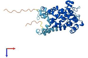 AlphaFold protein structure predicition of Mouse Recombinant Slc25a31 Protein, UniprotID Q3V132