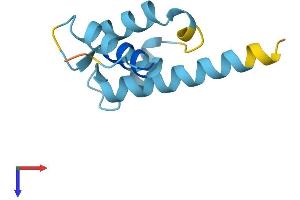 AlphaFold protein structure predicition of Human Recombinant S100A13 Protein, UniprotID Q99584