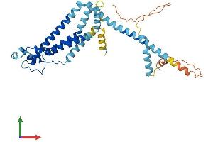 AlphaFold protein structure predicition of Mouse Recombinant Calhm1 Protein, UniprotID D3Z291