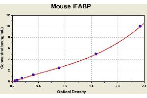Diagramm of the ELISA kit to detect Mouse 1 FABPwith the optical density on the x-axis and the concentration on the y-axis. (FABP2 Kit ELISA)