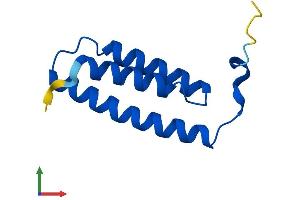 AlphaFold protein structure predicition of Mouse Recombinant Lyrm4 Protein, UniprotID Q8K215