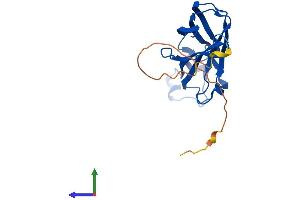 AlphaFold protein structure predicition of Mouse Recombinant Asf1b Protein, UniprotID Q9DAP7