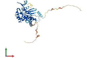 AlphaFold protein structure predicition of Human Recombinant SEPTIN12 Protein, UniprotID Q8IYM1