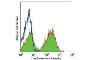 anti-I-AD antibody (Alexa Fluor 488)