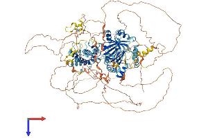 AlphaFold protein structure predicition of Human Recombinant HR Protein, UniprotID O43593