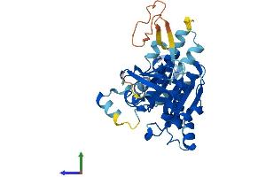 AlphaFold protein structure predicition of Mouse Recombinant Rad51b Protein, UniprotID O35719