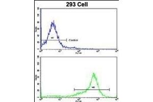 Flow cytometric analysis of 293 cells using SHP2 Antibody (bottom histogram) compared to a negative control cell (top histogram).