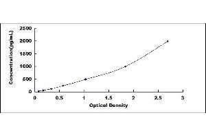 Typical standard curve