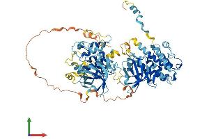 AlphaFold protein structure predicition of Mouse Recombinant Rps6ka1 Protein, UniprotID P18653