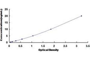 Typical standard curve (PPM1A Kit ELISA)