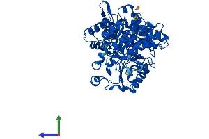 AlphaFold protein structure predicition of Human Recombinant ME1 Protein, UniprotID P48163