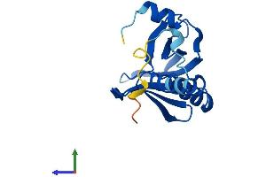 AlphaFold protein structure predicition of Human Recombinant PLEKHJ1 Protein, UniprotID Q9NW61