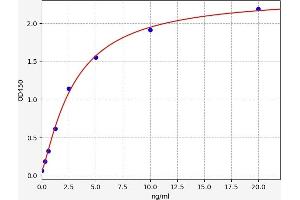Typical standard curve