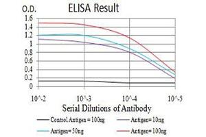 Black line: Control Antigen (100 ng),Purple line: Antigen (10 ng), Blue line: Antigen (50 ng), Red line:Antigen (100 ng) (CIRBP anticorps  (AA 1-90))