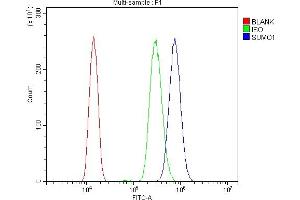 Flow Cytometry analysis of HL-60 cells using anti-Sumo 1/SUMO1 antibody (ABIN7603002). (SUMO1 anticorps  (Middle Region))