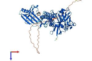 AlphaFold protein structure predicition of Mouse Recombinant Parp2 Protein, UniprotID O88554