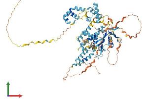AlphaFold protein structure predicition of Human Recombinant TIGD5 Protein, UniprotID Q53EQ6