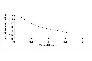 Lactic Acid ELISA Kit