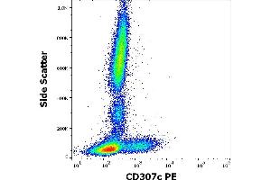 Flow cytometry surface staining pattern of human peripheral whole blood stained using anti-human CD307c (H5) PE antibody (10 μL reagent / 100 μL of peripheral whole blood). (FCRL3 anticorps  (PE))