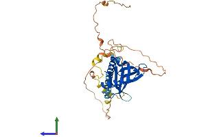 AlphaFold protein structure predicition of Mouse Recombinant Ldlrap1 Protein, UniprotID Q8C142
