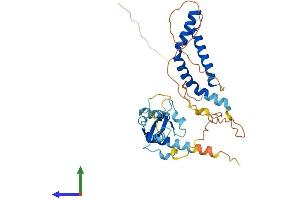 AlphaFold protein structure predicition of Mouse Recombinant Dnttip1 Protein, UniprotID Q99LB0