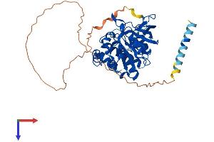AlphaFold protein structure predicition of Mouse Recombinant Ptpn1 Protein, UniprotID P35821