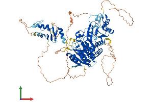 AlphaFold protein structure predicition of Human Recombinant TRMT1L Protein, UniprotID Q7Z2T5