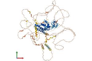 AlphaFold protein structure predicition of Human Recombinant RUSC1 Protein, UniprotID Q9BVN2