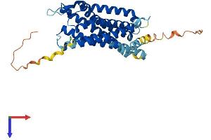 Galanin Receptor 1 (GALR1) (AA 1-349) protein (His tag)