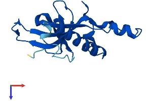 AlphaFold protein structure predicition of Mouse Recombinant Rpl27 Protein, UniprotID P61358