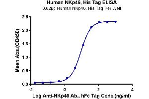 Immobilized Human NKp46, His Tag at 0.