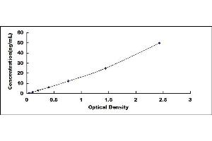 Typical standard curve