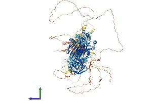 AlphaFold protein structure predicition of Mouse Recombinant Inppl1 Protein, UniprotID Q6P549