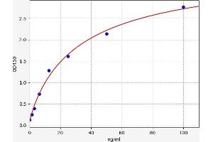 Typical standard curve (IgY Kit ELISA)