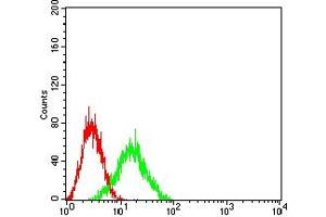Flow cytometric analysis of HL-60 cells using IL10RB mouse mAb (green) and negative control (red).