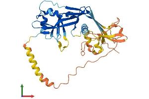 AlphaFold protein structure predicition of Mouse Recombinant Pjvk Protein, UniprotID Q0ZLH2