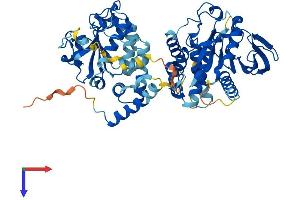 AlphaFold protein structure predicition of Mouse Recombinant Ptpn9 Protein, UniprotID O35239