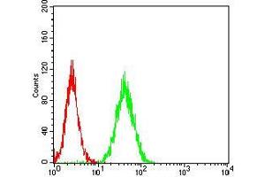 Flow cytometric analysis of Hela cells using RHOF mouse mAb (green) and negative control (red). (RhoF anticorps  (AA 1-84))